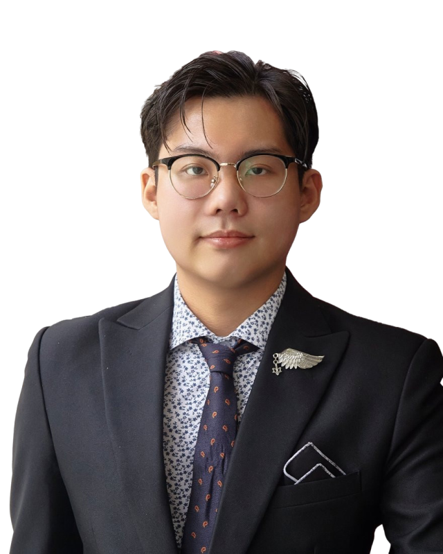Lê Hữu Vị — David