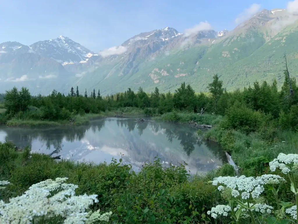 Định cư bang Alaska: Anchorage và thiên nhiên