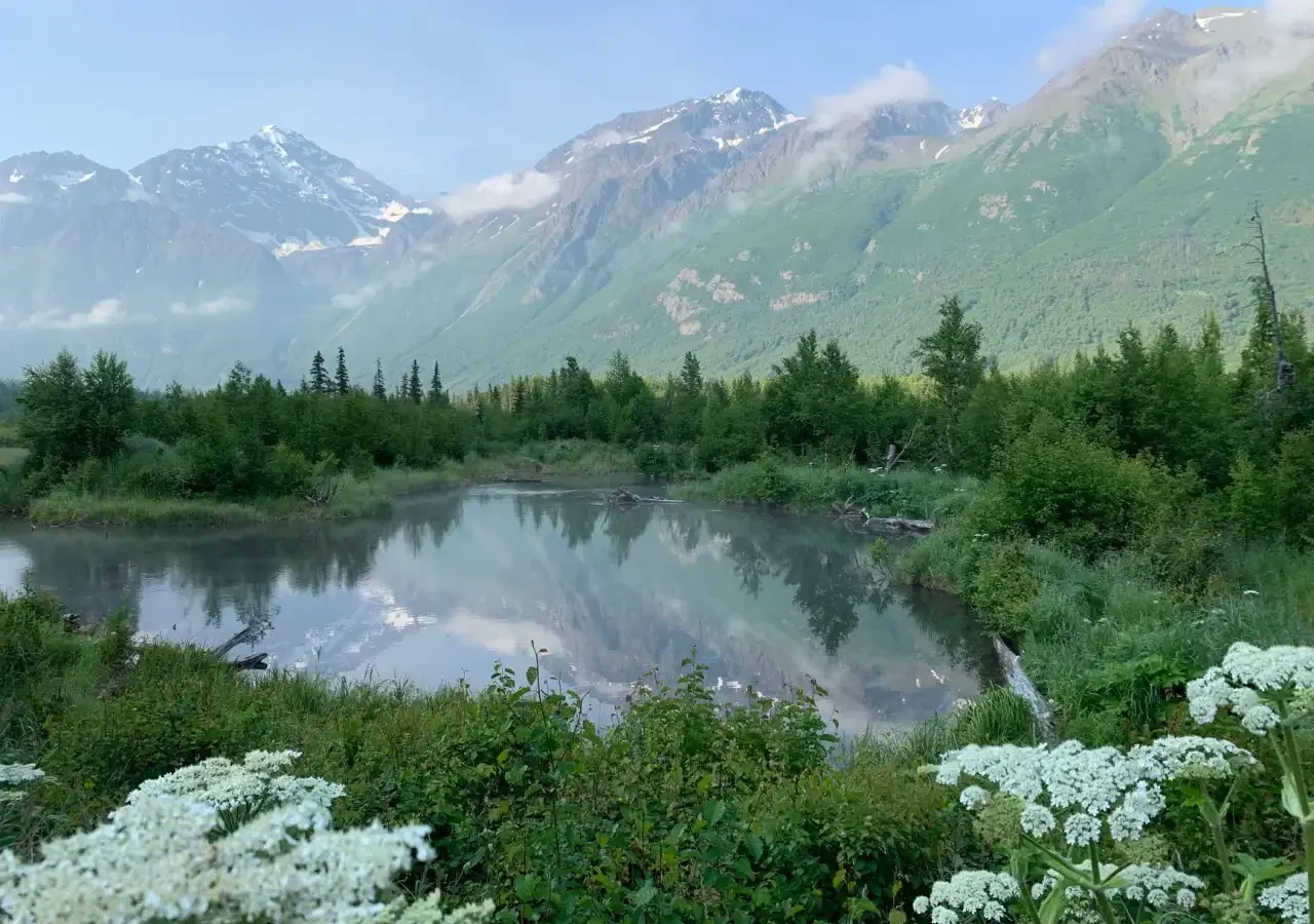 Định cư bang Alaska: Anchorage và thiên nhiên