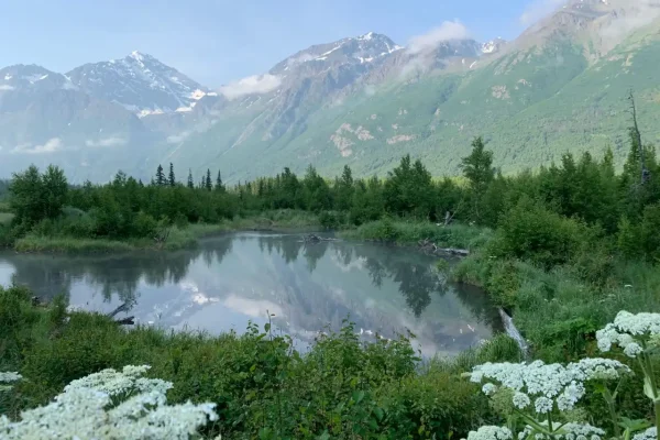 Định cư bang Alaska: Anchorage và thiên nhiên