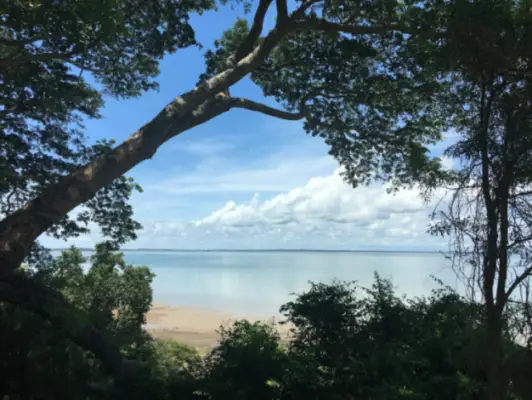 Định cư Darwin: Thủ phủ Northern Territory khí hậu nhiệt đới