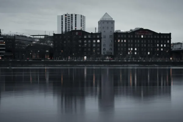Định cư Mannheim: Trung tâm công nghiệp vùng Rhein-Neckar