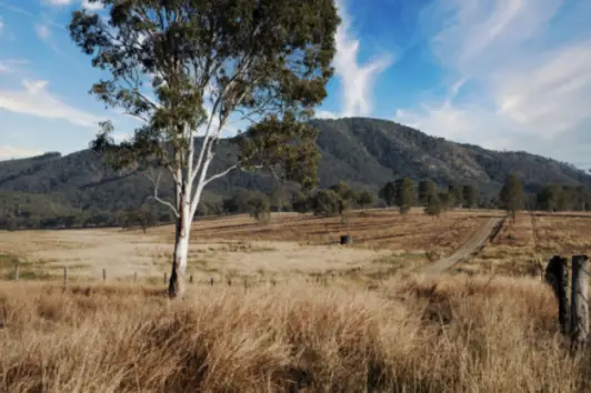 Định cư Toowoomba: Thành phố cao nguyên Queensland