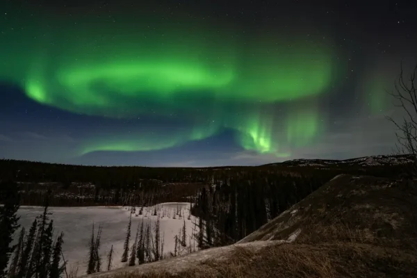 Định cư Whitehorse: Thủ phủ vùng lãnh thổ Yukon