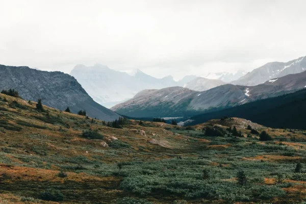 Express Entry hay PNP: nên chọn con đường nào để định cư Canada?