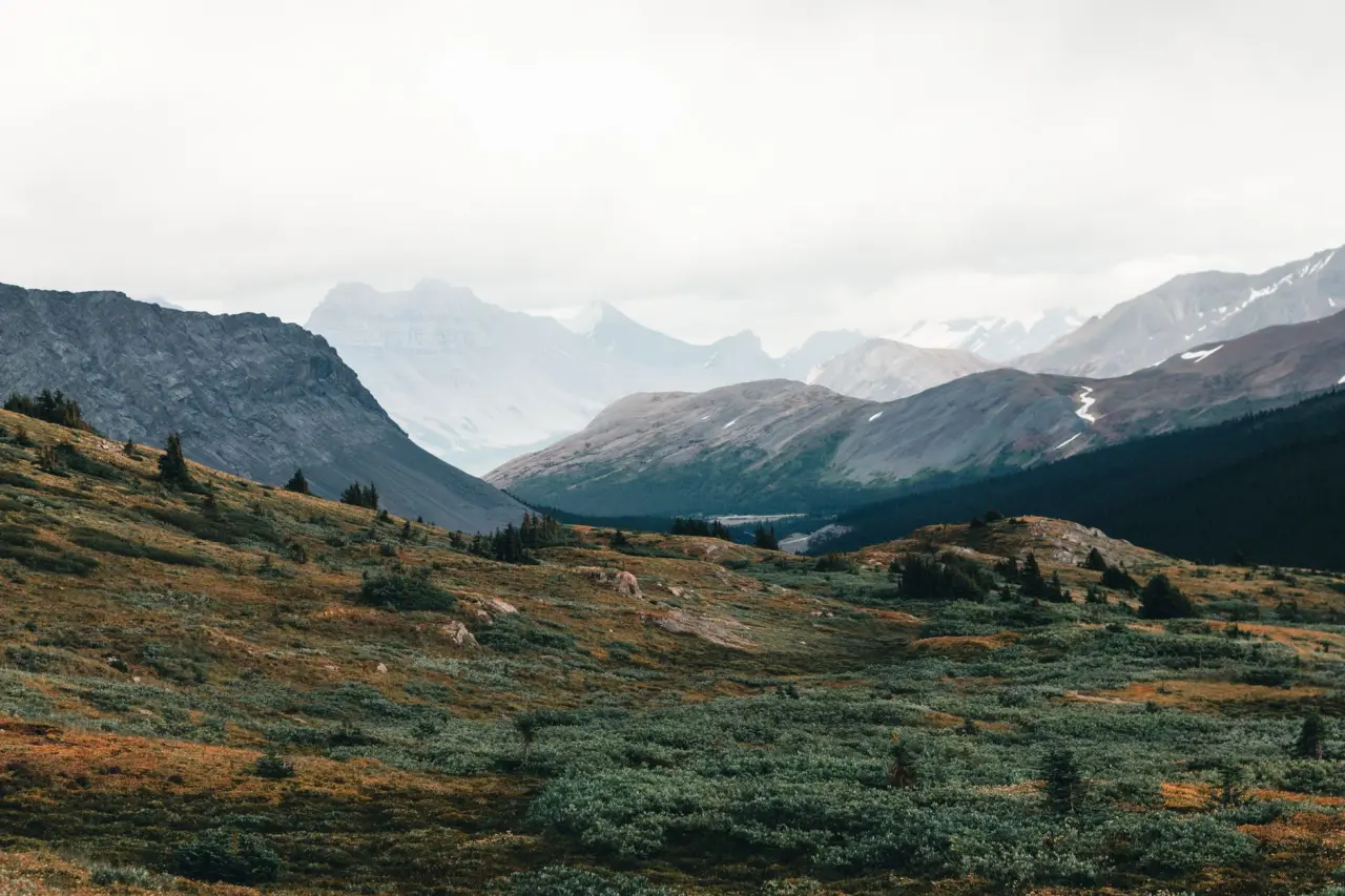 Express Entry hay PNP: nên chọn con đường nào để định cư Canada?