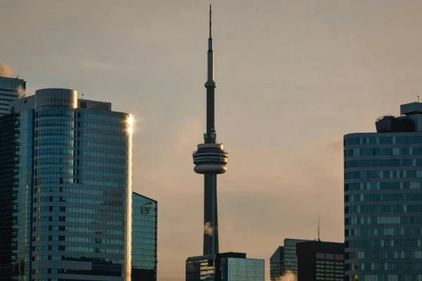 Job offer Canada định cư: Vai trò trong hồ sơ tay nghề
