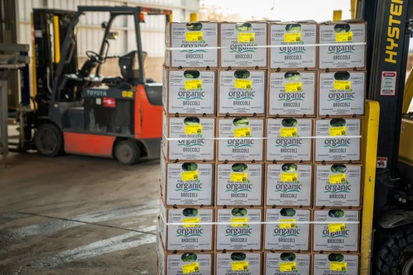 Định cư Đức ngành logistics, lái xe, kho