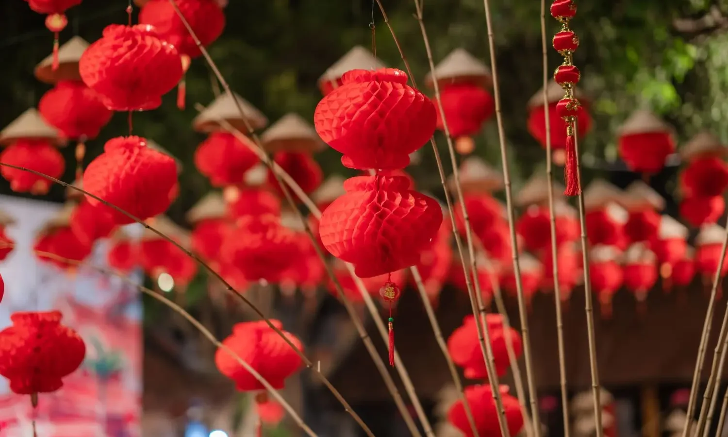 Giữ tiếng Việt cho con Hoa Kỳ: Cách duy trì
