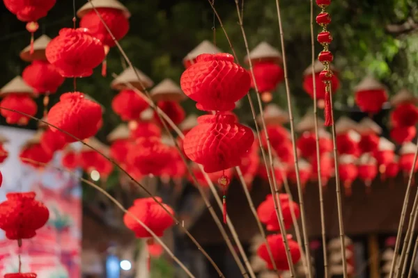 Giữ tiếng Việt cho con Hoa Kỳ: Cách duy trì