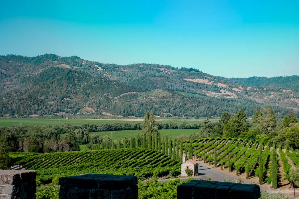 Du lịch thung lũng Napa: Vùng rượu vang nổi tiếng