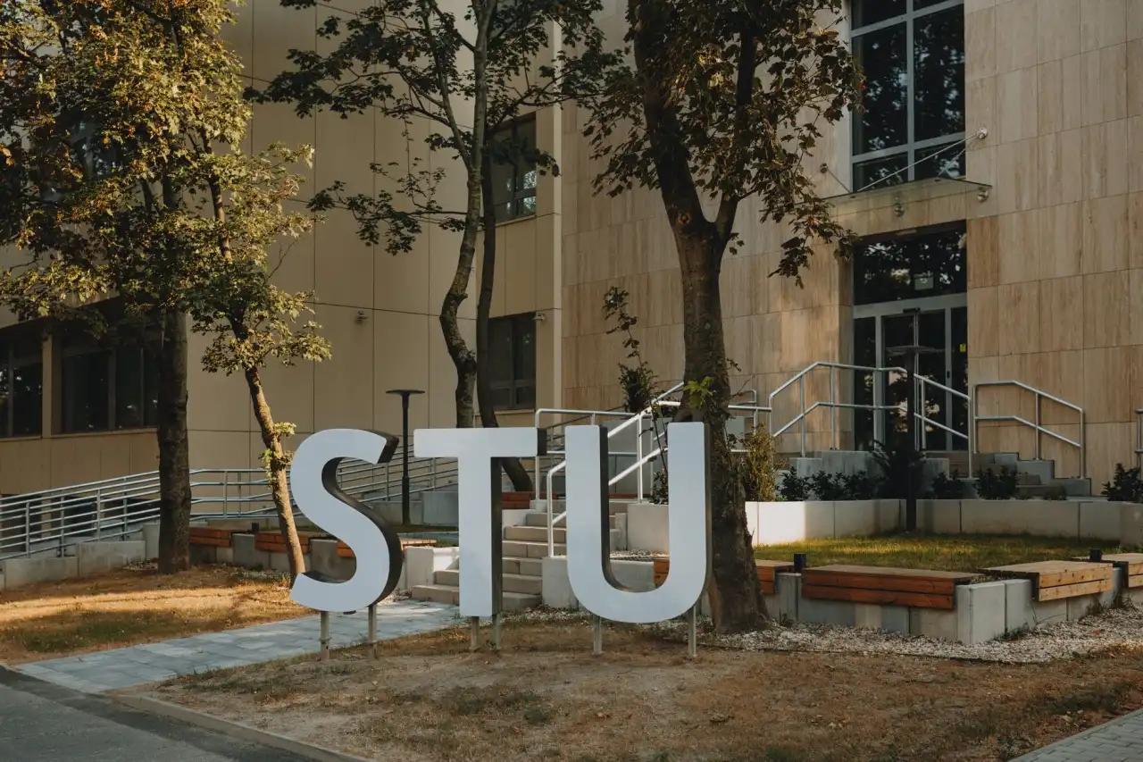 Xe buýt trường học Hoa Kỳ: Đưa đón con đi học